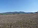 P1220503