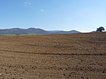 P1220506