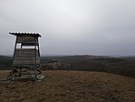 IMG_20190303_094450
