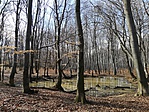 IMG_20190303_125645