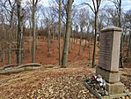 IMG_20190303_131427
