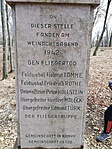 IMG_20190303_131300