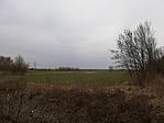 IMG_20190307_155833