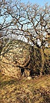 20190324_161506