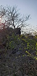20190324_161550