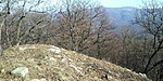 20190216_131004