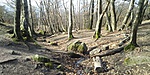 20190309_095335