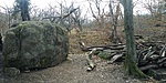 20190309_100611_HDR