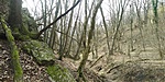 20190309_135120