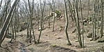 20190309_135214