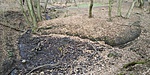 20190309_135905