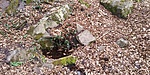 20190309_140047