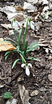 20190309_140832