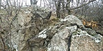 20190309_141326