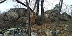 20190309_141356_HDR