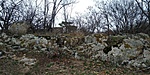 20190309_141358_HDR