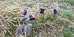 20190309_141842