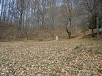 DSC02563
