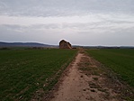 20190319_181053