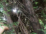 IMG_5030