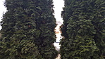 GCKIVA_20190315171341.jpg