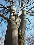 20190317_142900