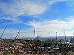 IMG_20190302_141431