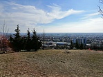 IMG_20190302_141119