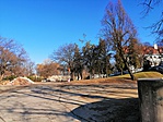 IMG_20190302_094842