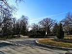 IMG_20190302_094557