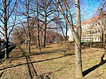 IMG_20190302_100751