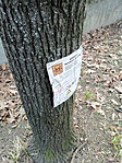 IMG_20190302_153322