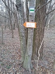20190309_163825