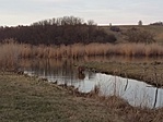 20190309_173007