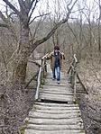 hídon
