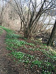 IMG_20190328_093145