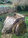 IMG_20190328_101002