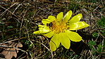 Fotótéma - 2