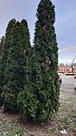 IMG_20190315_171550