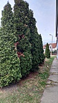 IMG_20190315_171503