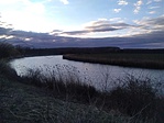 IMG_20190310_063744