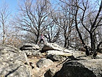 IMG_20190331_140158