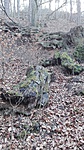 IMG_20190317_151115