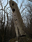 IMG_20190309_173806