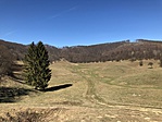 IMG_6645