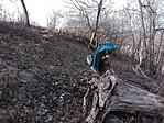 IMG_20190303_152347