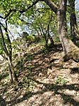 IMG_20190421_112857