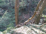 IMG_20190421_162405