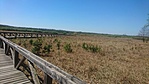 IMG-20190421-WA0008