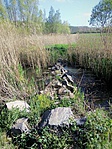 IMG_20190425_162950